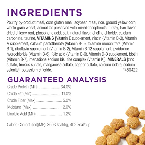 Purina Cat Chow Gentle: A Lifesaver for Sensitive Cats - Image 12