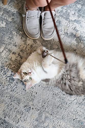 Ultimate Fun: OurPets Play-N-Squeak Wand Cat Toy Review - Image 6