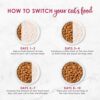 Purina Fancy Feast Filet Mignon Cat Food: Gourmet Delights! - Image 12