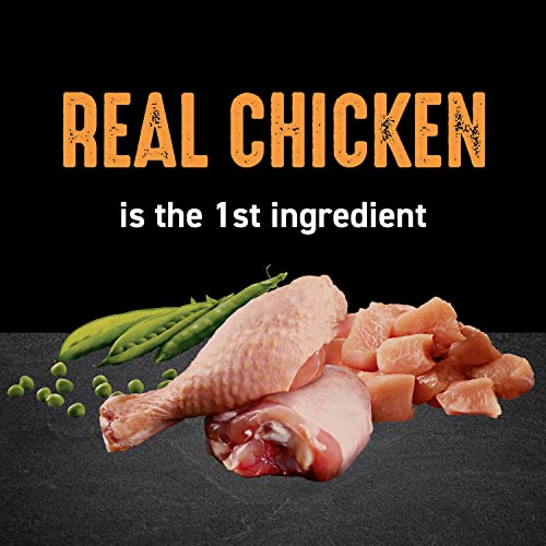 High Protein CRAVE Grain-Free Cat Food: A Healthy Choice? - Image 3