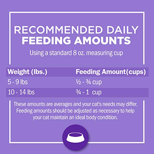 Purina Cat Chow Gentle: A Lifesaver for Sensitive Cats - Image 11