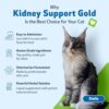 Comprehensive Review: Kidney Support Gold for Cats Supplement - Image 4
