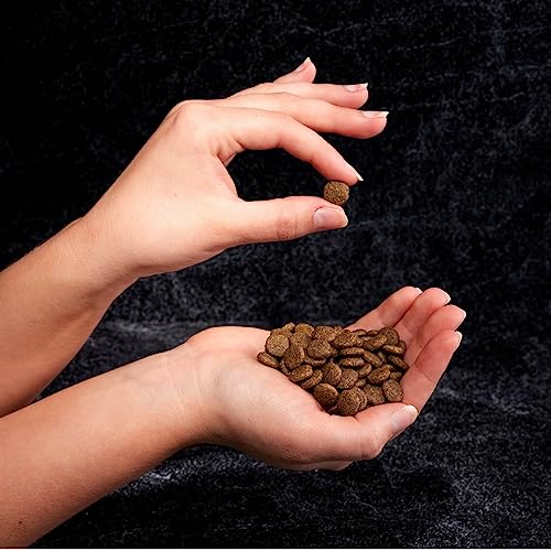 High Protein CRAVE Grain-Free Cat Food: A Healthy Choice? - Image 9