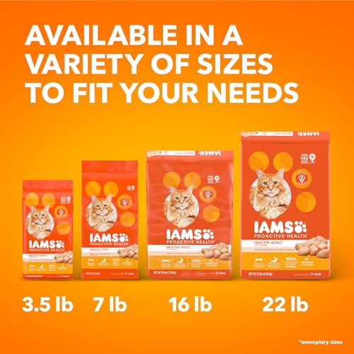 IAMS PROACTIVE HEALTH Chicken Cat Kibble: A 3.5 lb. Review - Image 11