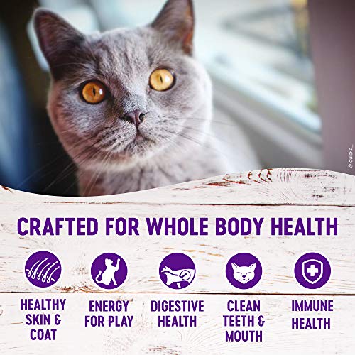 Premium Nutrition: Wellness Natural Grain-Free Chicken Cat Food - Image 3