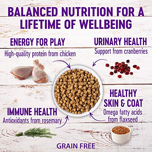 Premium Nutrition: Wellness Natural Grain-Free Chicken Cat Food - Image 2
