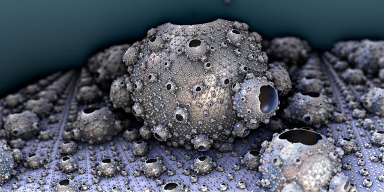 Can I Get Worms From My Cat