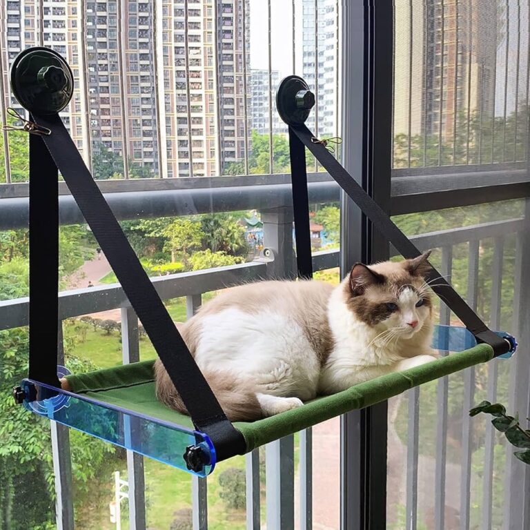Keeping Your Window Hammock Secure And Stable