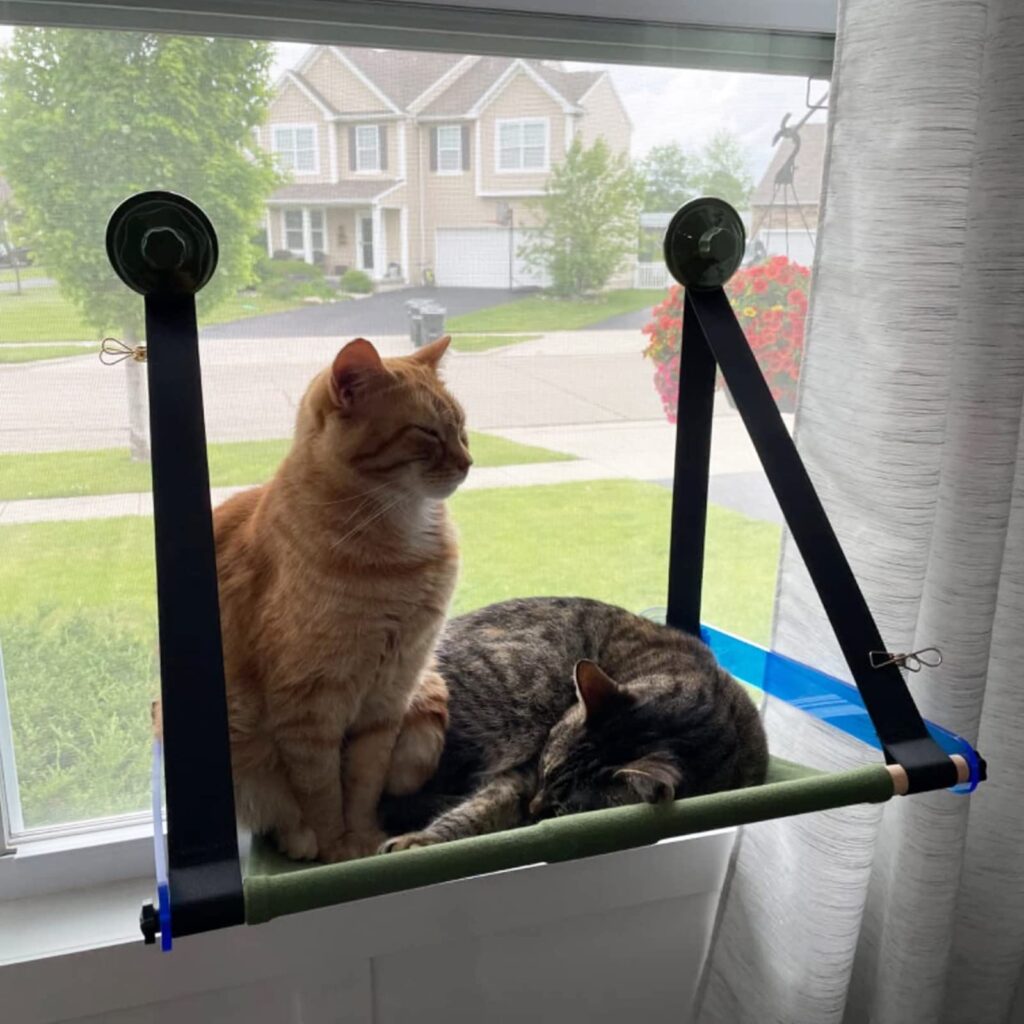 Keeping Your Window Hammock Secure And Stable