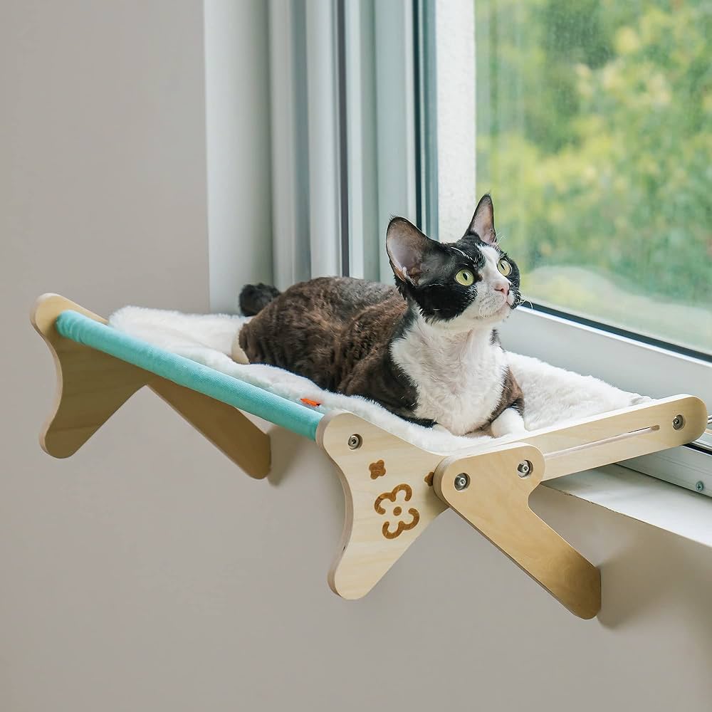 The Best Window Hammocks For Cats Who Like To Spend Lazy Afternoons