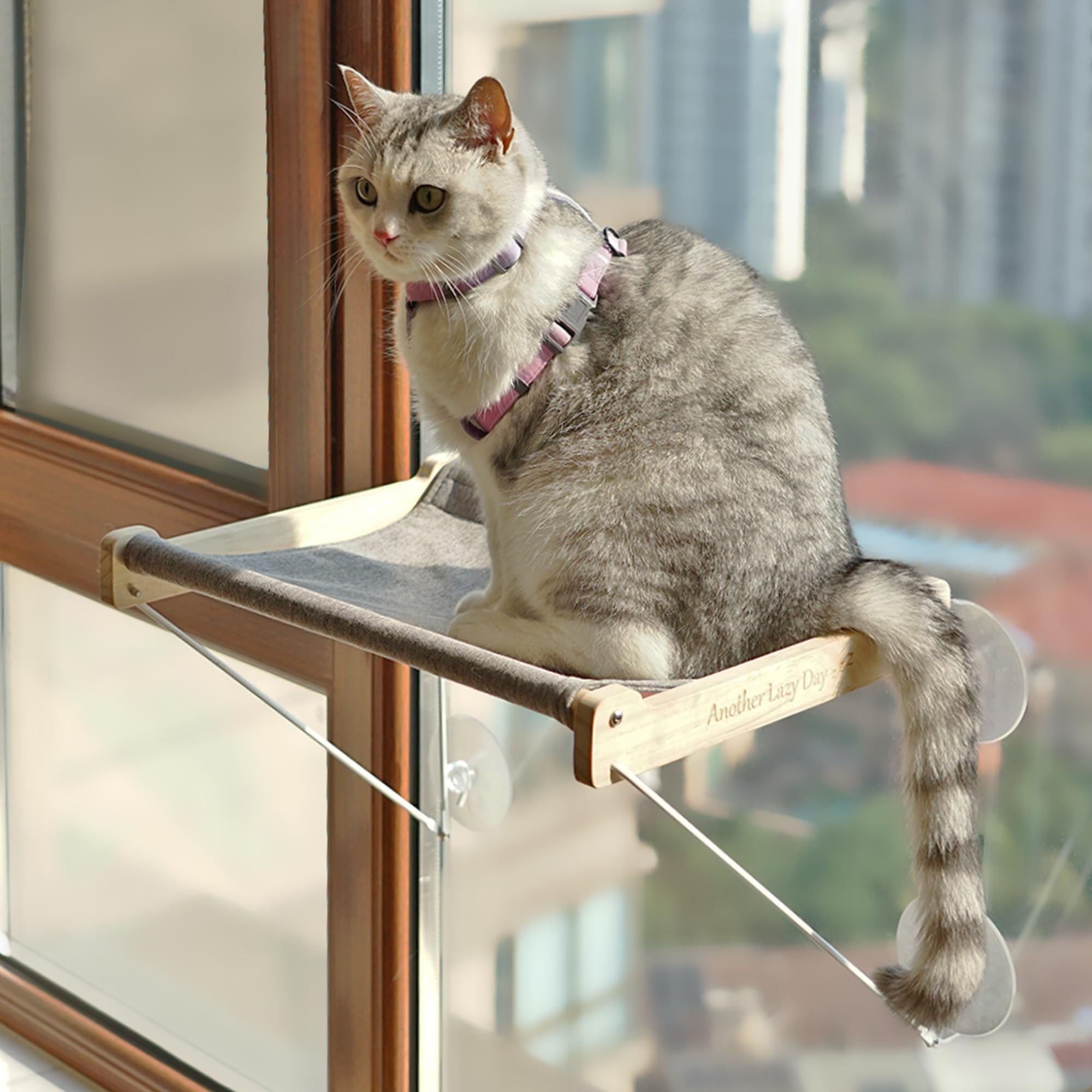 The Best Window Hammocks For Cats Who Like To Spend Lazy Afternoons