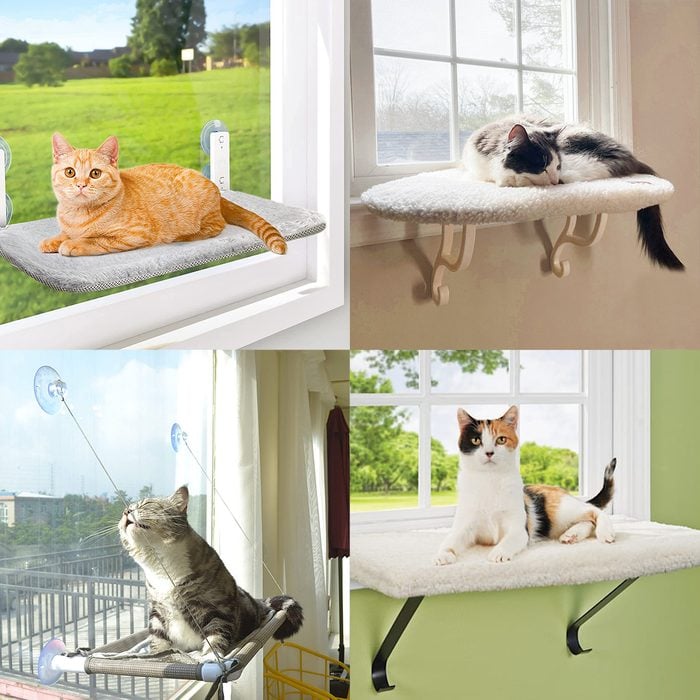 The Best Window Hammocks For Cats Who Like To Spend Lazy Afternoons