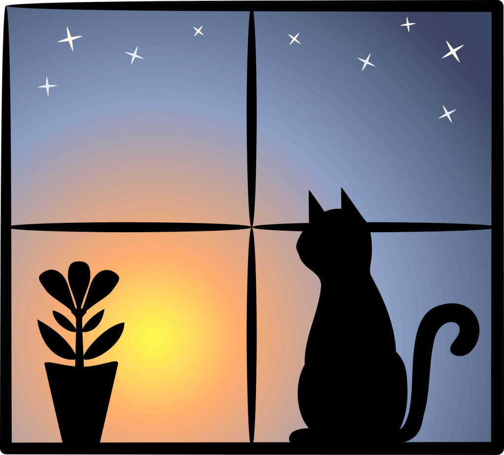 Window Hammocks For Cats Who Like To Gaze At The Moon And Stars