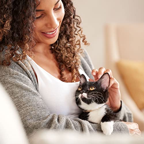 Purrfectly Balanced: Rachael Ray Nutrish Inner Health Cat Food Review - Image 4