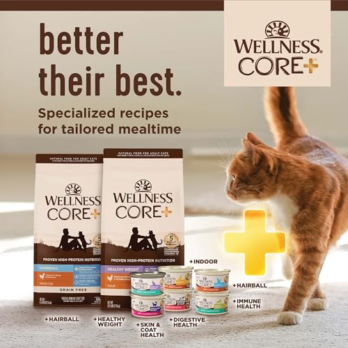 Review: Wellness CORE+ Grain-Free High Protein Cat Food - Image 9