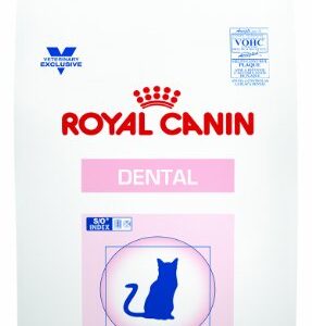 Royal Canin Feline Dental Cat Food Dry 7.7 Pound Bag (3.5 kg) For Cats and Kittens
