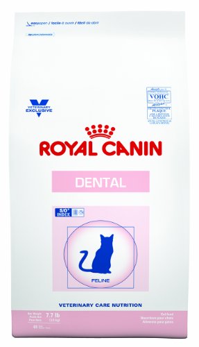 Royal Canin Feline Dental Cat Food Dry 7.7 Pound Bag (3.5 kg) For Cats and Kittens