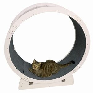 ZIMGOD White Cat Exercise Wheel, Indoor Cat Treadmill with 2 Replaceable Blanket, Cats Weight Losing Pet Toys, Cat Ferris Wheel - Smooth Running