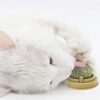 Balacoo Rotatable Catnip Sugar Candy Balls: A Feline Favorite - Image 5
