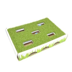 Catstages Grass Patch Hunting Box Cat Toy