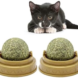 Balacoo 2Pcs Natural Catnip Ball Toys - Catnip Cat Treats Rotatable Sugar Candy Licking Ball, Solid Nutrition Candy Ball Edible Snack Toys for Cats Cleaning Teeth