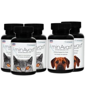 AminAvast Kidney Support Supplement for Cats, Small Dogs (300mg 3-Pack) and Dogs (1000mg 2-Pack) - Promotes Natural Kidney Function and Vitality - 60 Sprinkle Capsules