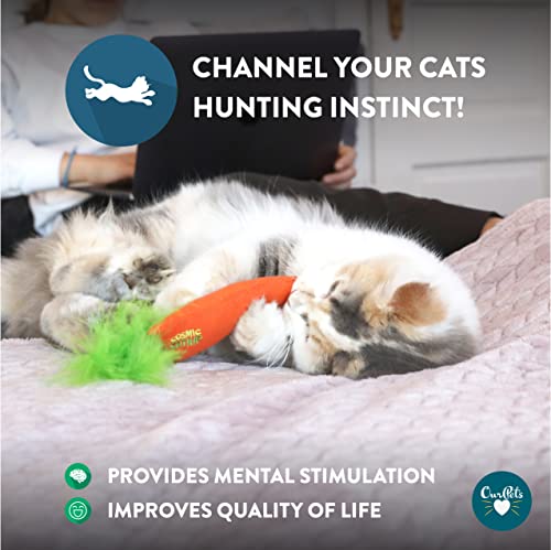 Unveiling the 24 Karat Catnip Carrot: A Treat for Your Feline - Image 5