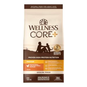 Wellness CORE+ Grain-Free High Protein Adult Dry Cat Food, Chicken, Turkey & Chicken Meal Indoor Formula Dry Cat Food, 5 Pound Bag
