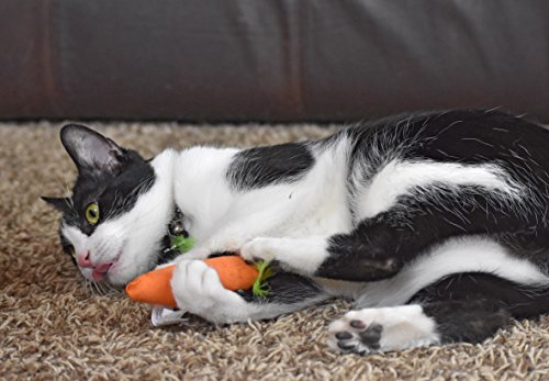 Unveiling the 24 Karat Catnip Carrot: A Treat for Your Feline - Image 11