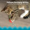 Catstages Dental Kitty Chew Wheel: Perfect for Catnip Fun! - Image 4