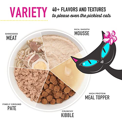 Delicious Wellness: Tiki Cat Silver Comfort Chicken Review - Image 8