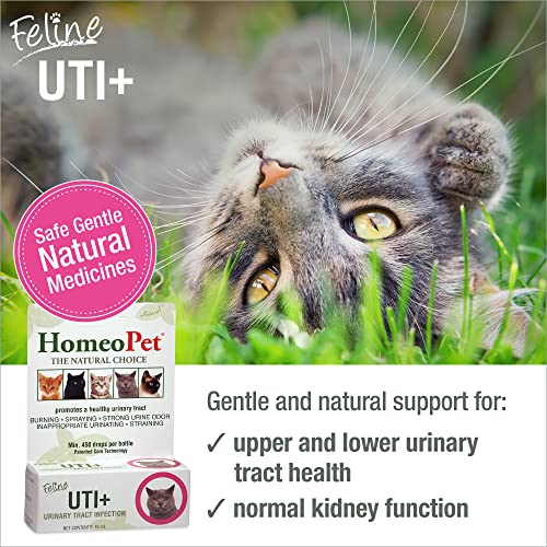 HomeoPet Feline UTI Plus: Effective Relief for Cat UTI Issues - Image 2