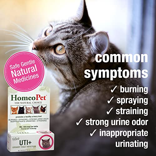 HomeoPet Feline UTI Plus: Effective Relief for Cat UTI Issues - Image 3