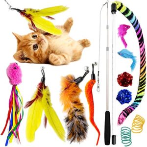 Youngever 12 Pieces Cat Toys Teasing Feather Toy, Retractable Wand with Assorted Teaser Refills, Interactive Feather Teaser Wand Toy Bell Kitten Cat Having Fun Exerciser Playing