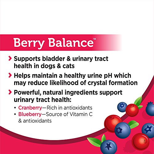Solid Gold Cranberry Supplement: UTI & Bladder Health for Pets - Image 5