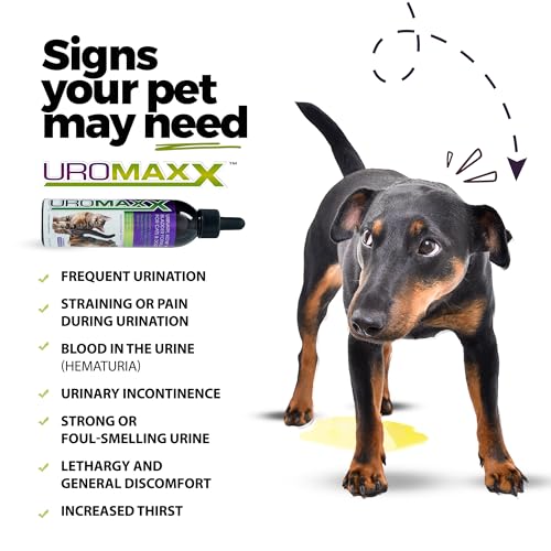 UroMAXX Urinary Tract Treatment: Effective Care for Pets - Image 2