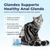 Boost Your Cat’s Digestive Health with Glandex Feline Supplement - Image 4