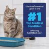 Boost Your Cat’s Digestive Health with Glandex Feline Supplement - Image 3