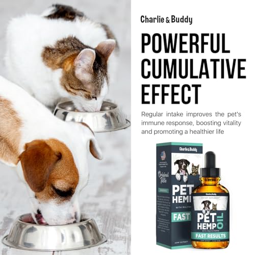Charlie & Buddy Hemp Oil: A Must-Have for Pet Anxiety & Pain Relief - Image 8