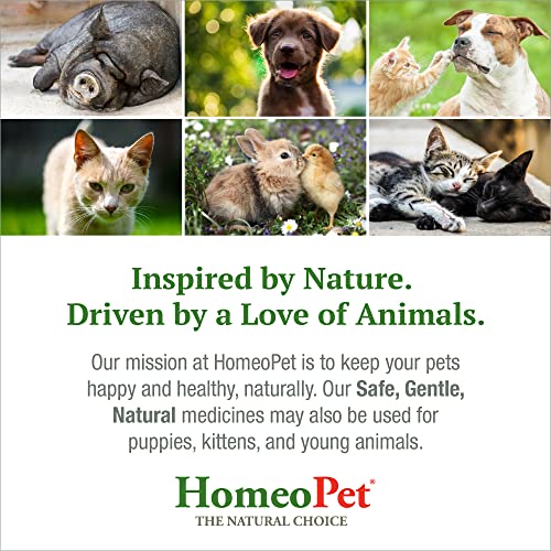 HomeoPet Feline UTI Plus: Effective Relief for Cat UTI Issues - Image 7