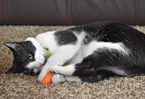 Unveiling the 24 Karat Catnip Carrot: A Treat for Your Feline - Image 10
