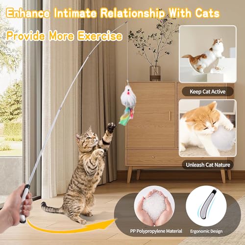 Janbenty 4-in-1 Cat Toy Review: Hours of Fun for Your Indoor Kitten - Image 3