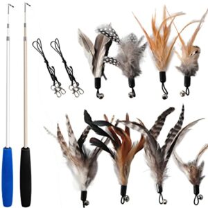 EcoCity Cat Toys - No Chemical Dyeing Cat Feather Toys for Indoor Cats - Include Cat Wand and Natural Feather Refills