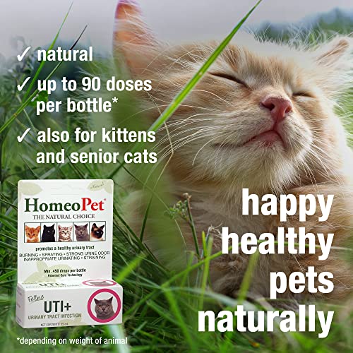 HomeoPet Feline UTI Plus: Effective Relief for Cat UTI Issues - Image 4