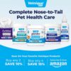 Boost Your Cat’s Digestive Health with Glandex Feline Supplement - Image 8