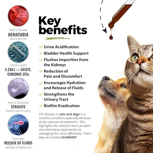 UroMAXX Urinary Tract Treatment: Effective Care for Pets - Image 3