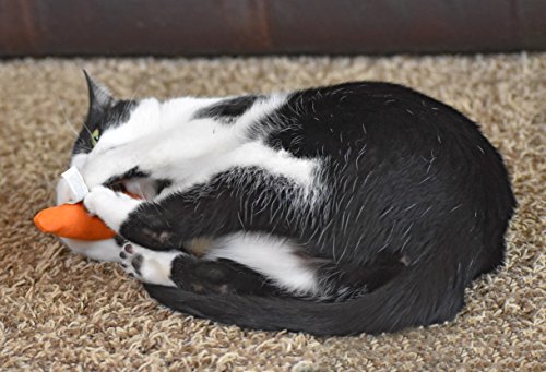 Unveiling the 24 Karat Catnip Carrot: A Treat for Your Feline - Image 8