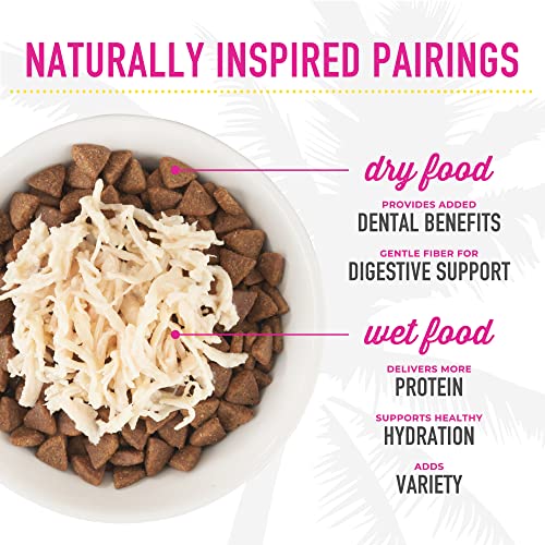 Delicious Wellness: Tiki Cat Silver Comfort Chicken Review - Image 7