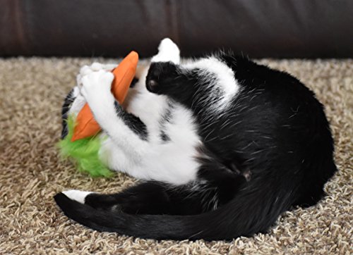 Unveiling the 24 Karat Catnip Carrot: A Treat for Your Feline - Image 7