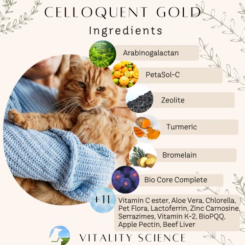 Vitality Science Celloquent Gold: Holistic Cat Immune Support - Image 3